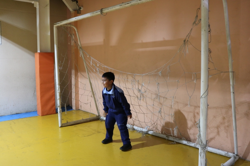 Día de la Actividad Física